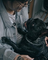 dog
