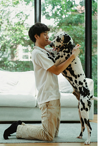 dog in apartment